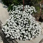 Dora 86 M2 View Private Terrace Parking Near Opatija Διαμέρισμα *