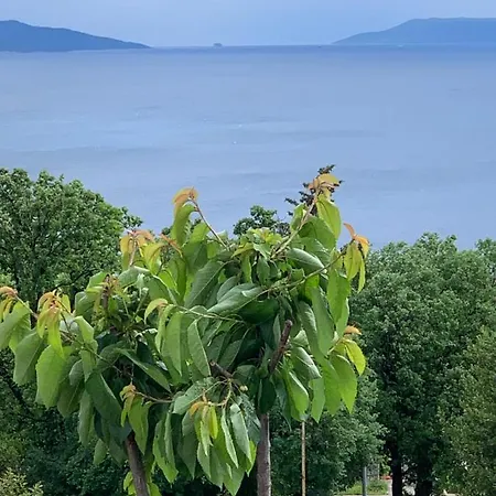 Διαμέρισμα Delux Dora With A Private Parking *