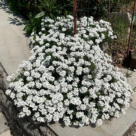 Deluxe Dora With A Private Parking, Terrace And View Apartment *